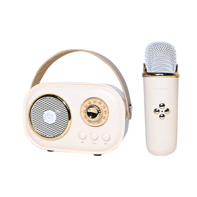 Wireless Mini Speaker With Mic